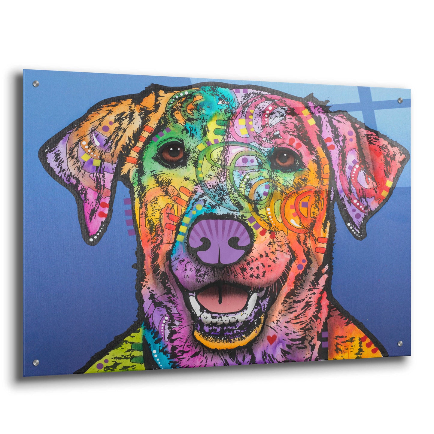 Epic Art 'Rocco ' by Dean Russo, Acrylic Glass Wall Art,36x24