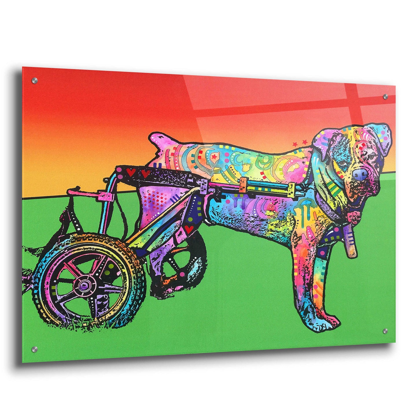 Epic Art 'Ospa on wheels' by Dean Russo, Acrylic Glass Wall Art,36x24