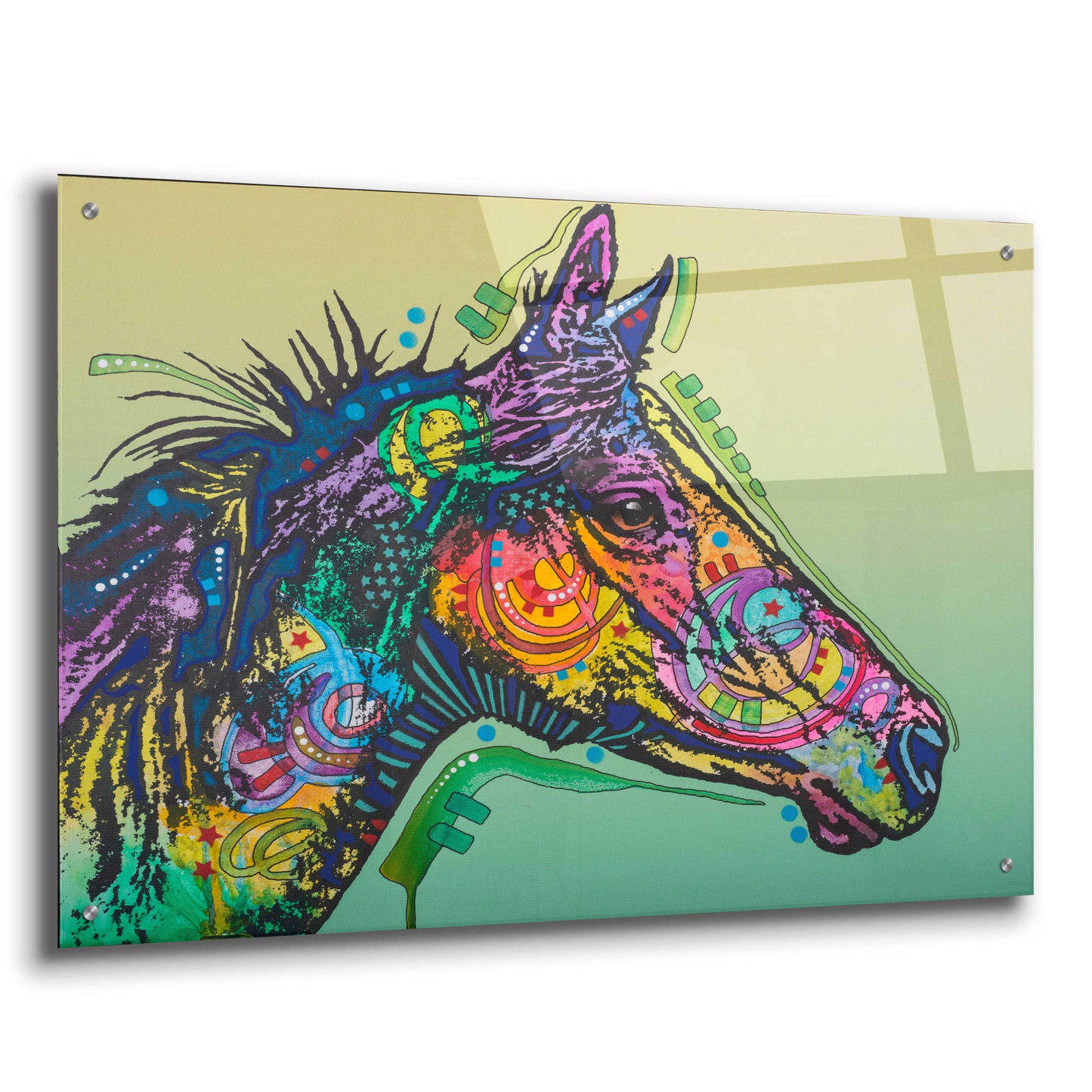 Epic Art 'Basha Custom-3' by Dean Russo, Acrylic Glass Wall Art,36x24