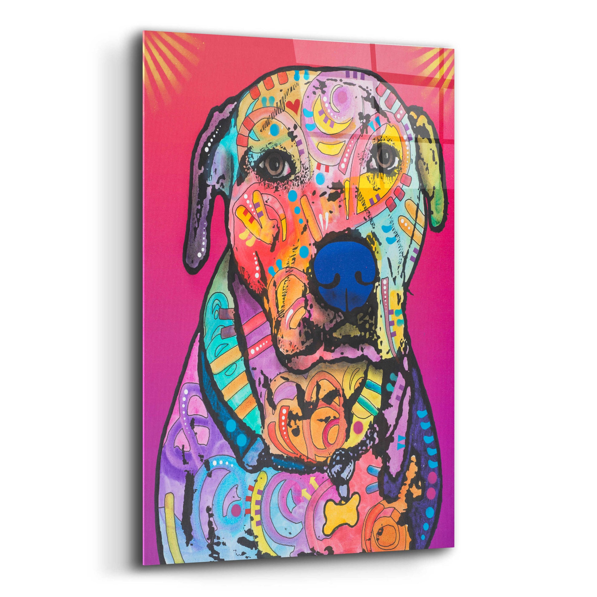 Epic Art 'Chancey' by Dean Russo, Acrylic Glass Wall Art,12x16