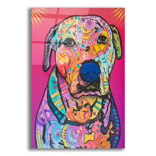 Epic Art 'Chancey' by Dean Russo, Acrylic Glass Wall Art