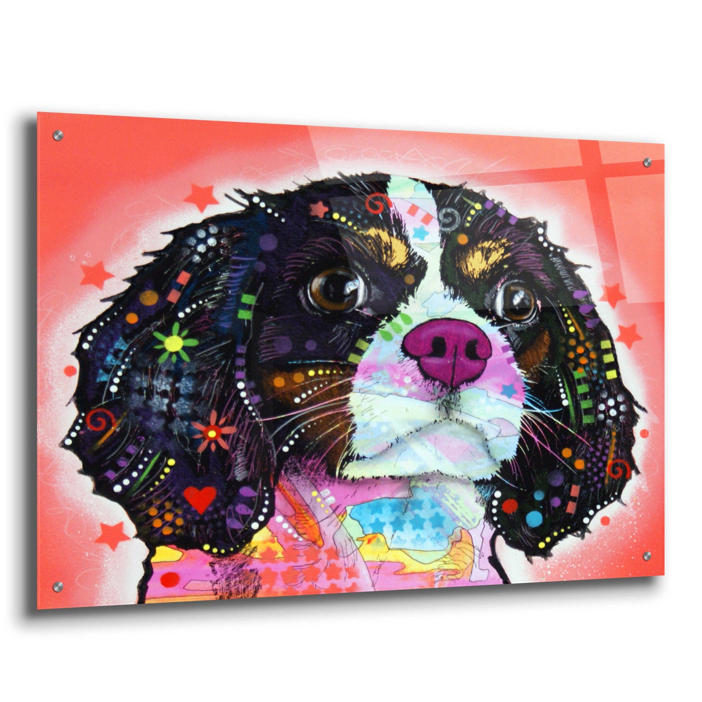 Epic Art 'King Charles' by Dean Russo, Acrylic Glass Wall Art,36x24