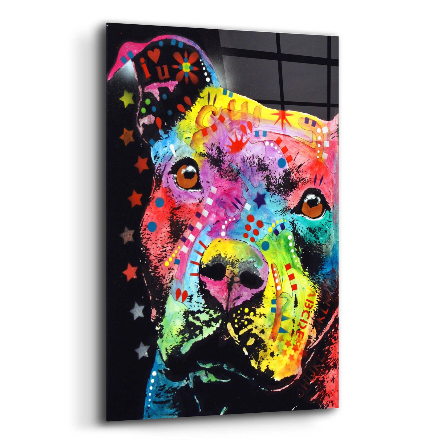 Epic Art 'Thoughtful Pit' by Dean Russo, Acrylic Glass Wall Art,12x16