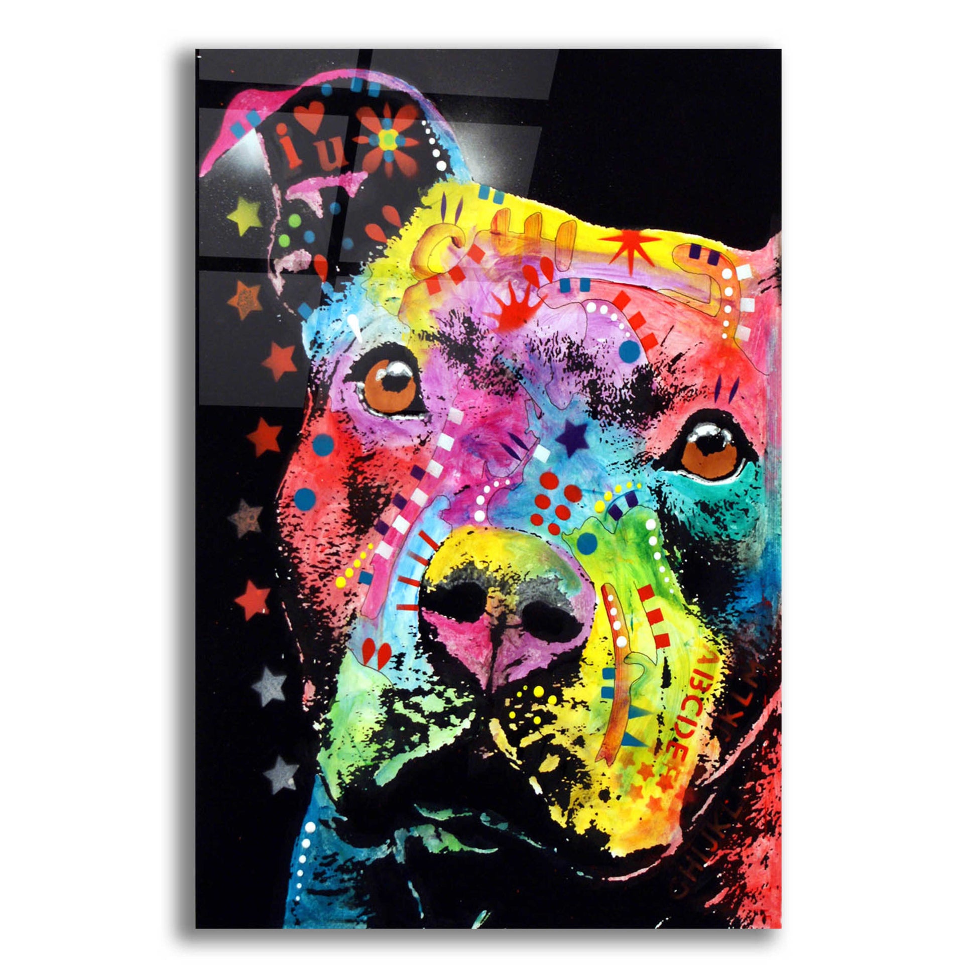 Epic Art 'Thoughtful Pit' by Dean Russo, Acrylic Glass Wall Art,12x16