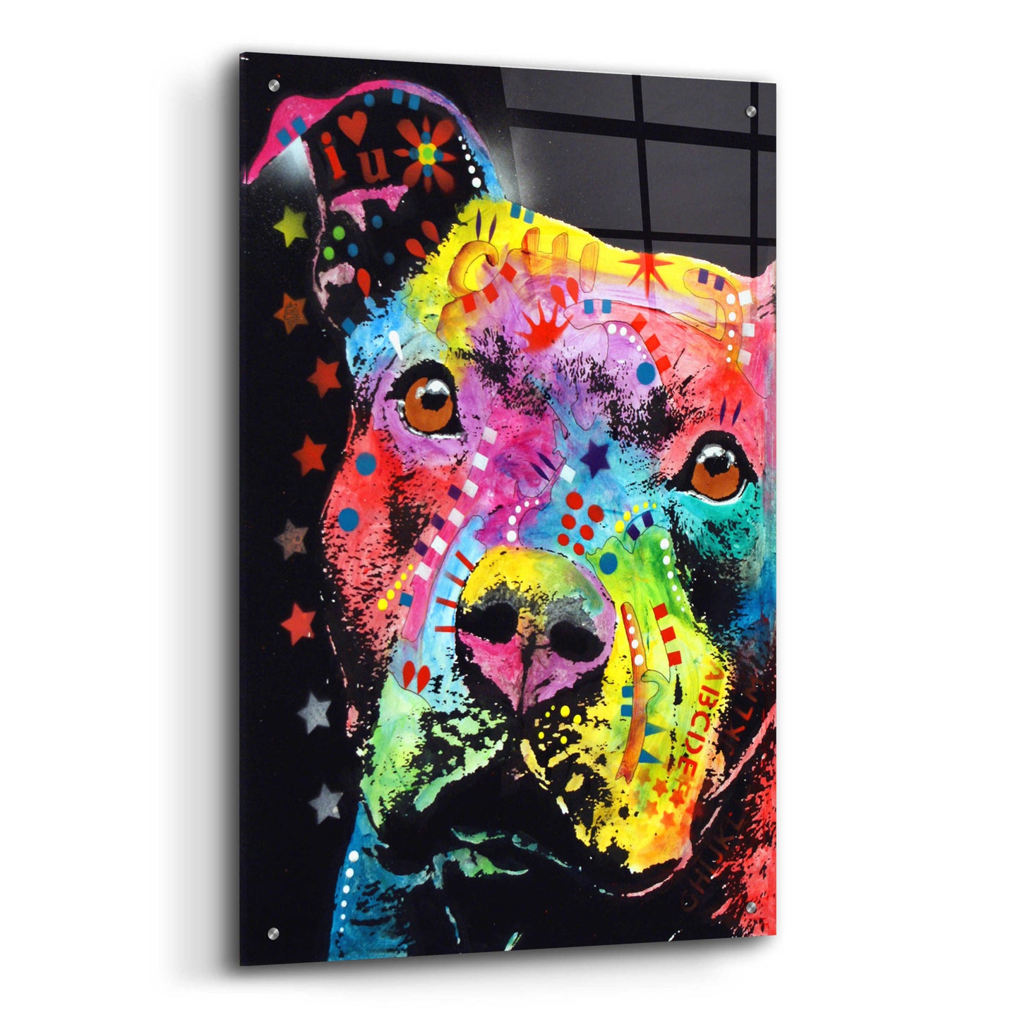 Epic Art 'Thoughtful Pit' by Dean Russo, Acrylic Glass Wall Art,24x36