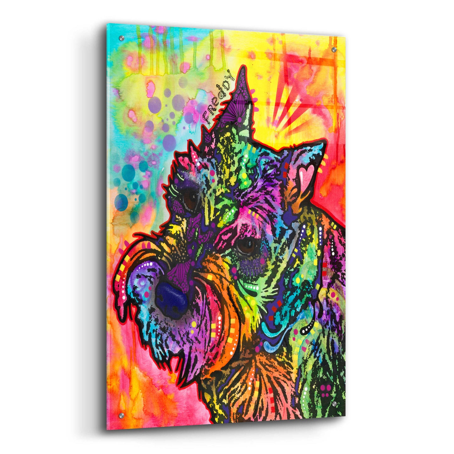 Epic Art 'Freddy the Schnauzer' by Dean Russo, Acrylic Glass Wall Art,24x36