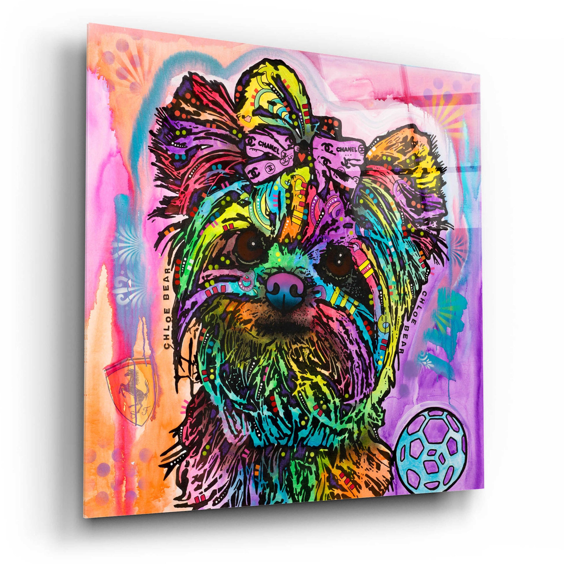 Epic Art 'Chloe Bear' by Dean Russo, Acrylic Glass Wall Art,12x12