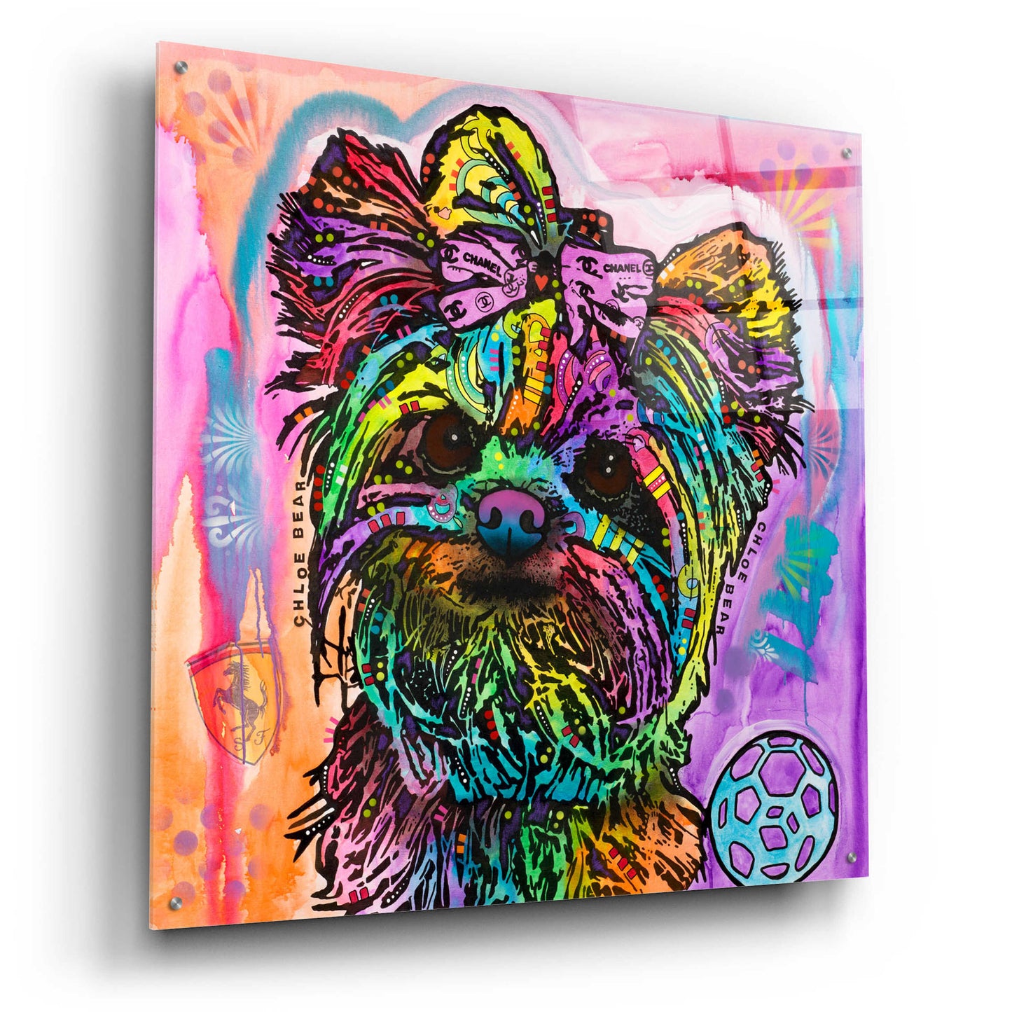 Epic Art 'Chloe Bear' by Dean Russo, Acrylic Glass Wall Art,36x36