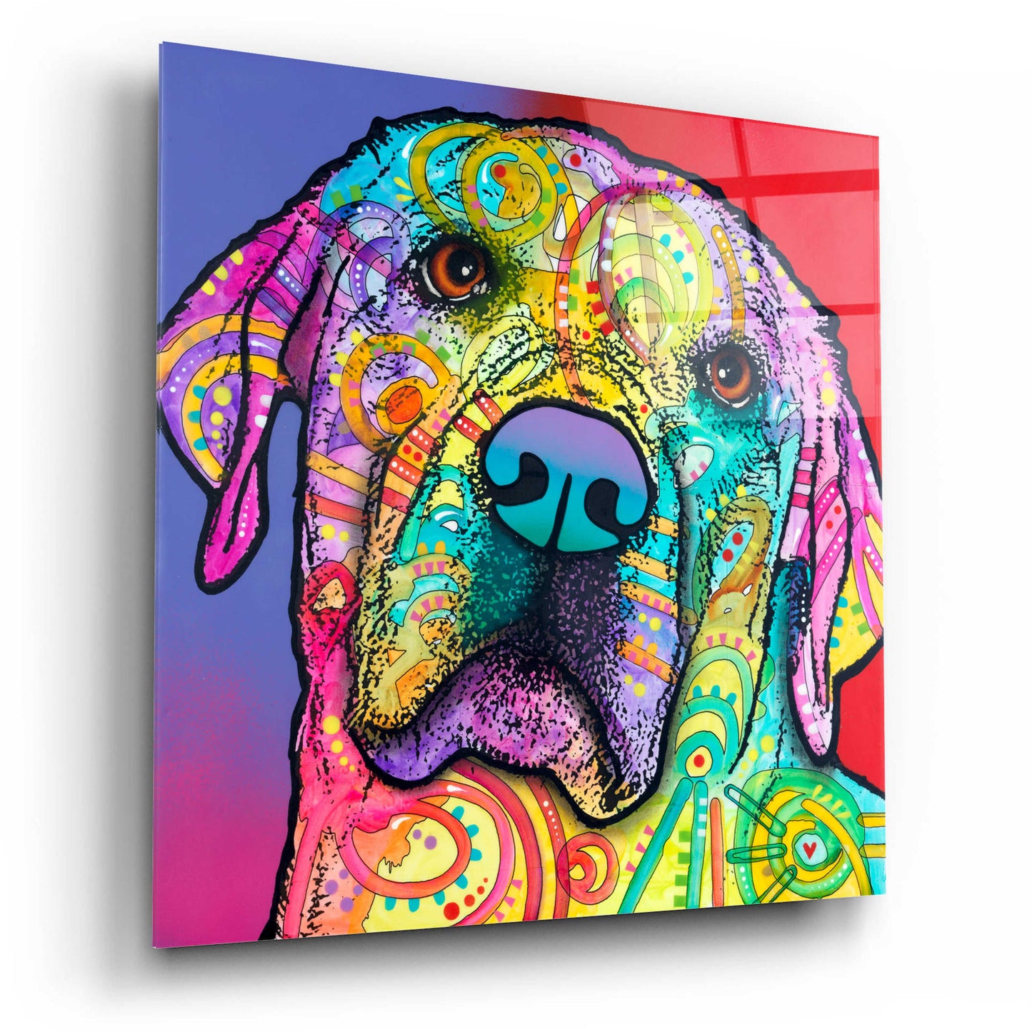 Epic Art 'Starry Lab' by Dean Russo, Acrylic Glass Wall Art,12x12