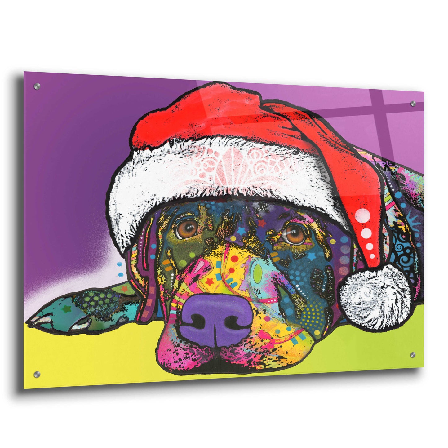 Epic Art 'Savvy Labrador Christmas' by Dean Russo, Acrylic Glass Wall Art,36x24