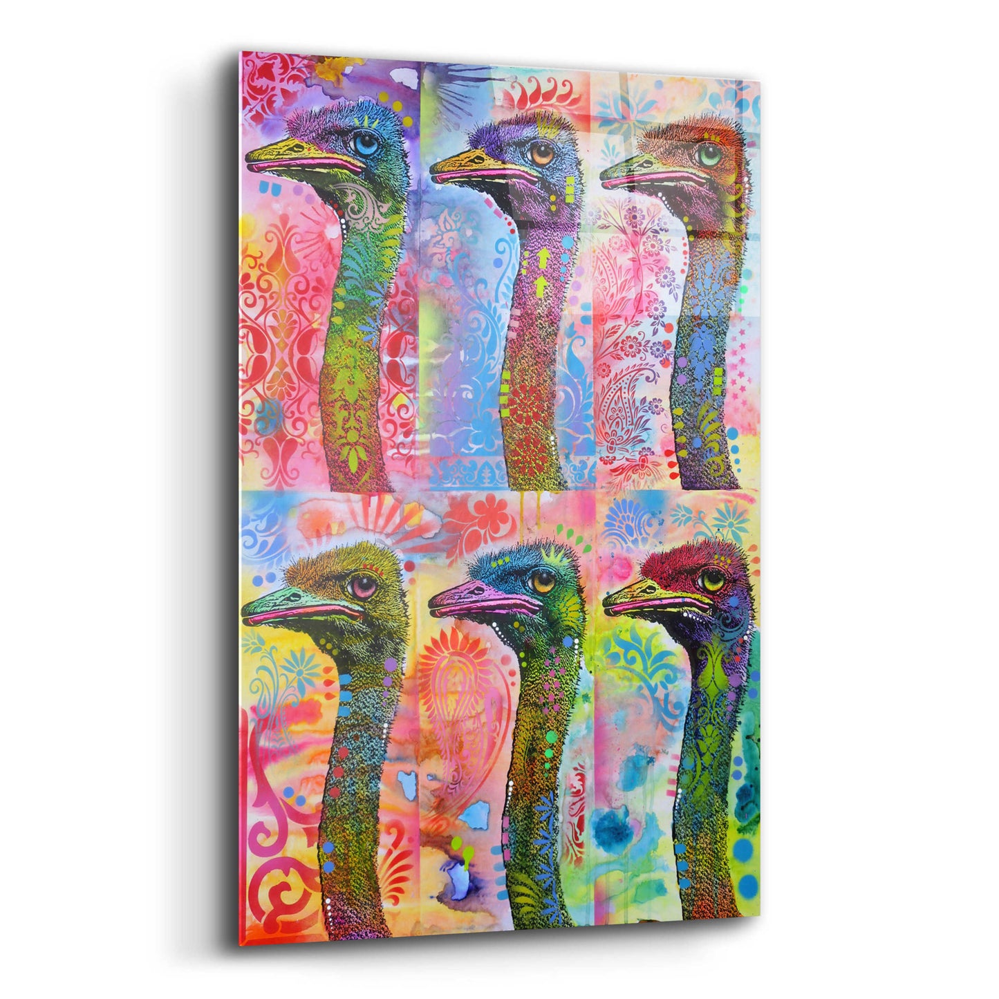 Epic Art '6 Ostriches' by Dean Russo, Acrylic Glass Wall Art,12x16
