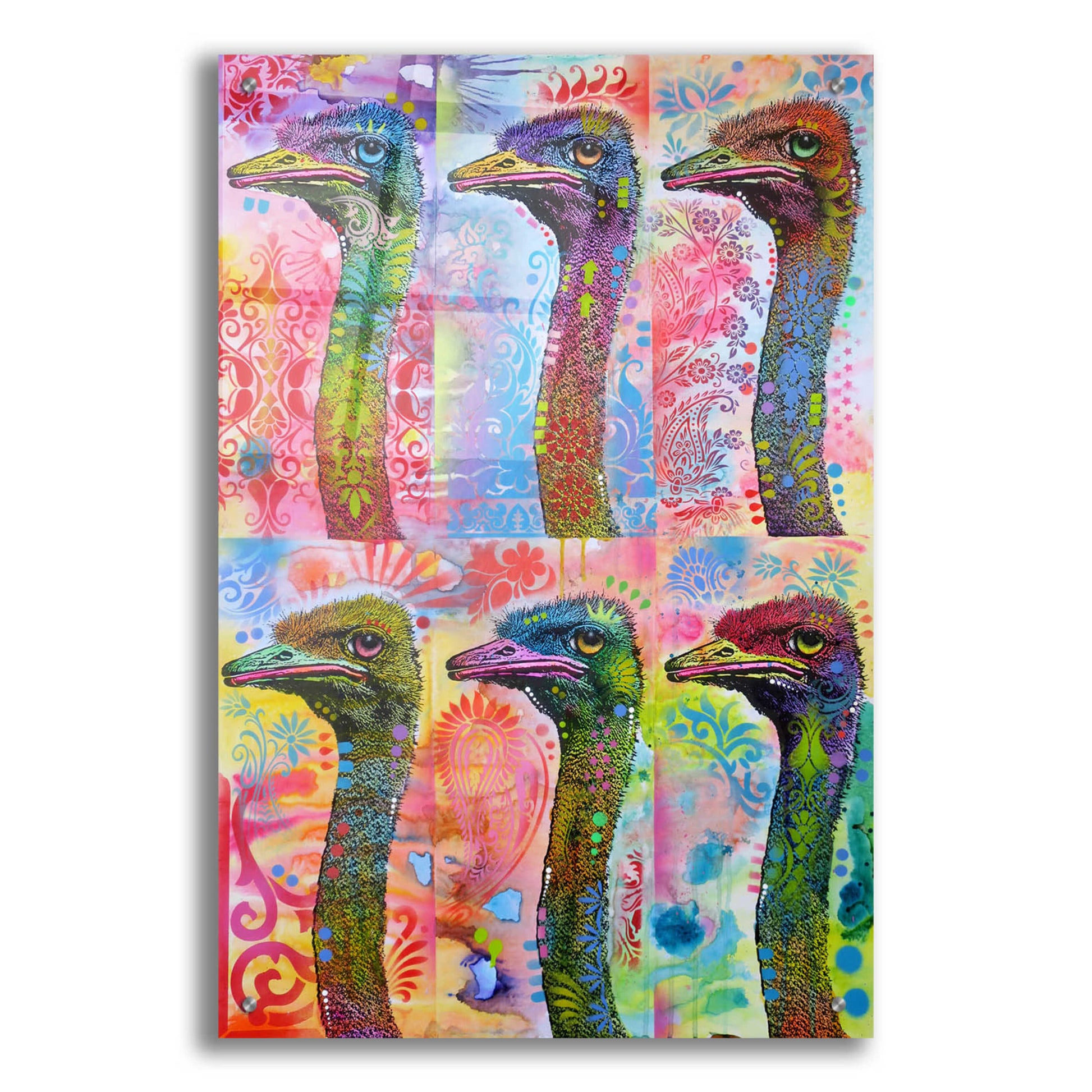 Epic Art '6 Ostriches' by Dean Russo, Acrylic Glass Wall Art,24x36