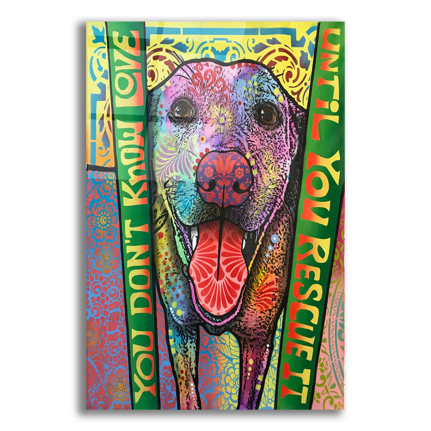 Epic Art 'You Don't Know Love' by Dean Russo, Acrylic Glass Wall Art,12x16