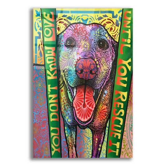 Epic Art 'You Don't Know Love' by Dean Russo, Acrylic Glass Wall Art