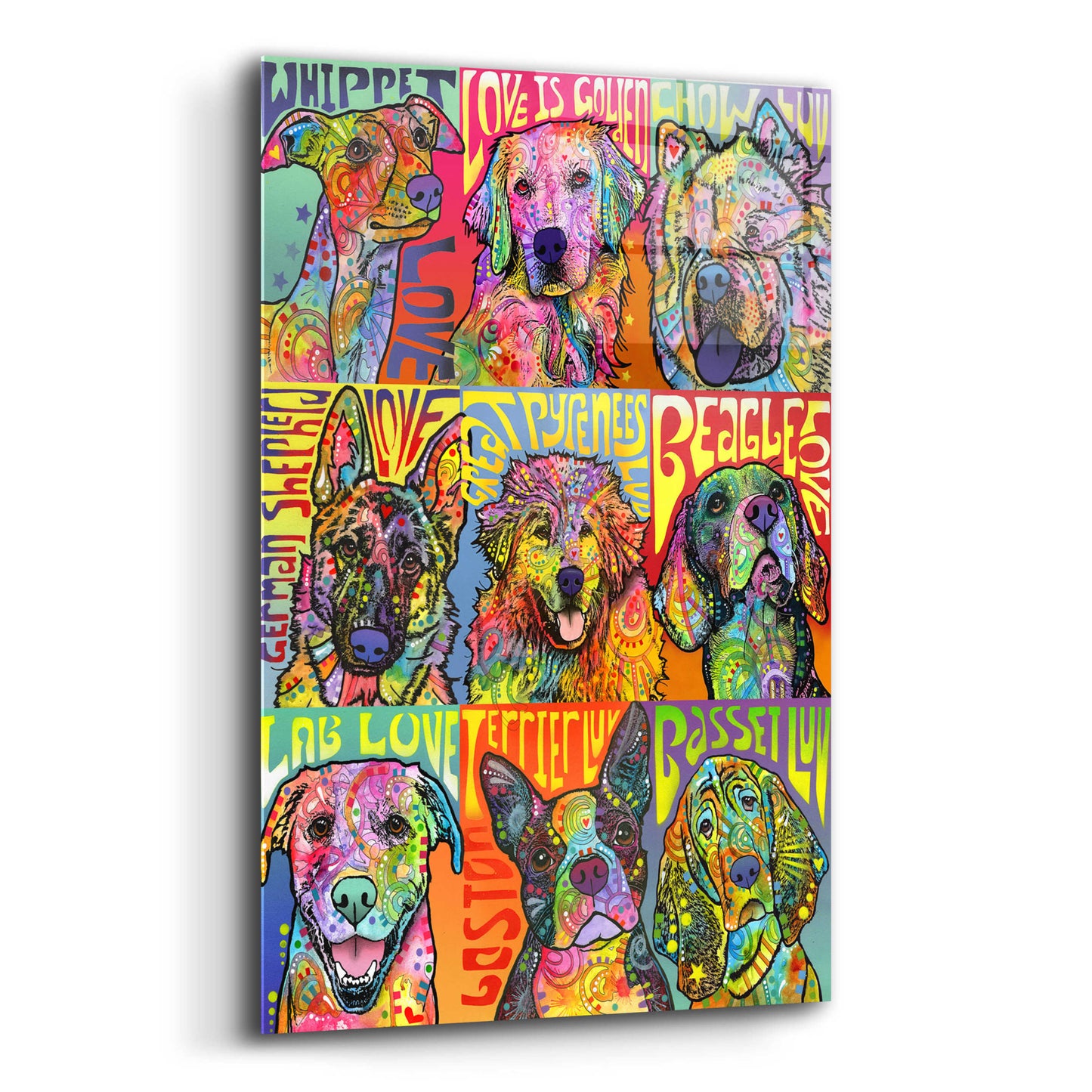 Epic Art 'Nine Up of Dogs' by Dean Russo, Acrylic Glass Wall Art,12x16