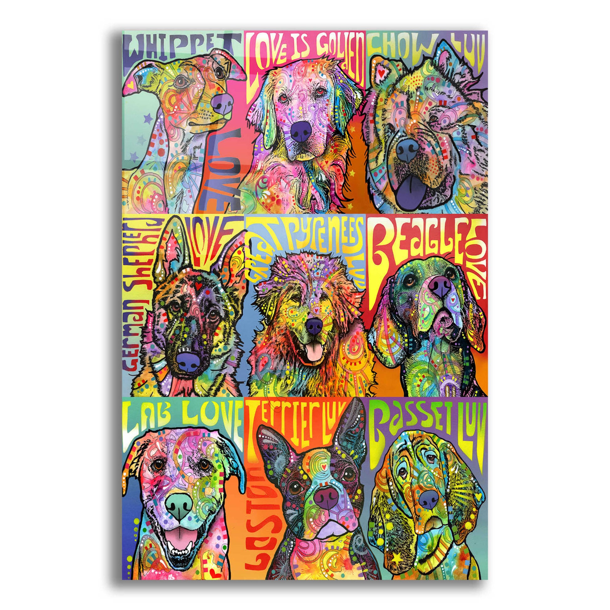 Epic Art 'Nine Up of Dogs' by Dean Russo, Acrylic Glass Wall Art,12x16