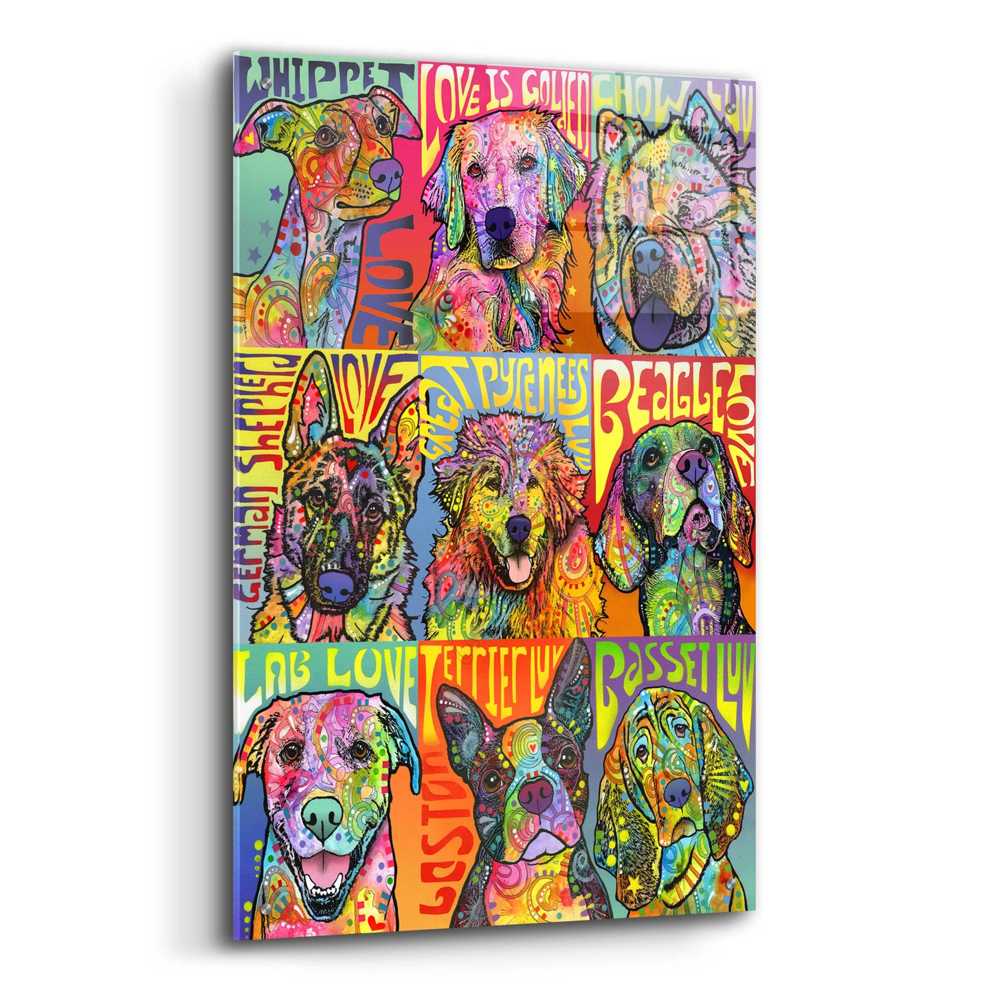 Epic Art 'Nine Up of Dogs' by Dean Russo, Acrylic Glass Wall Art,24x36