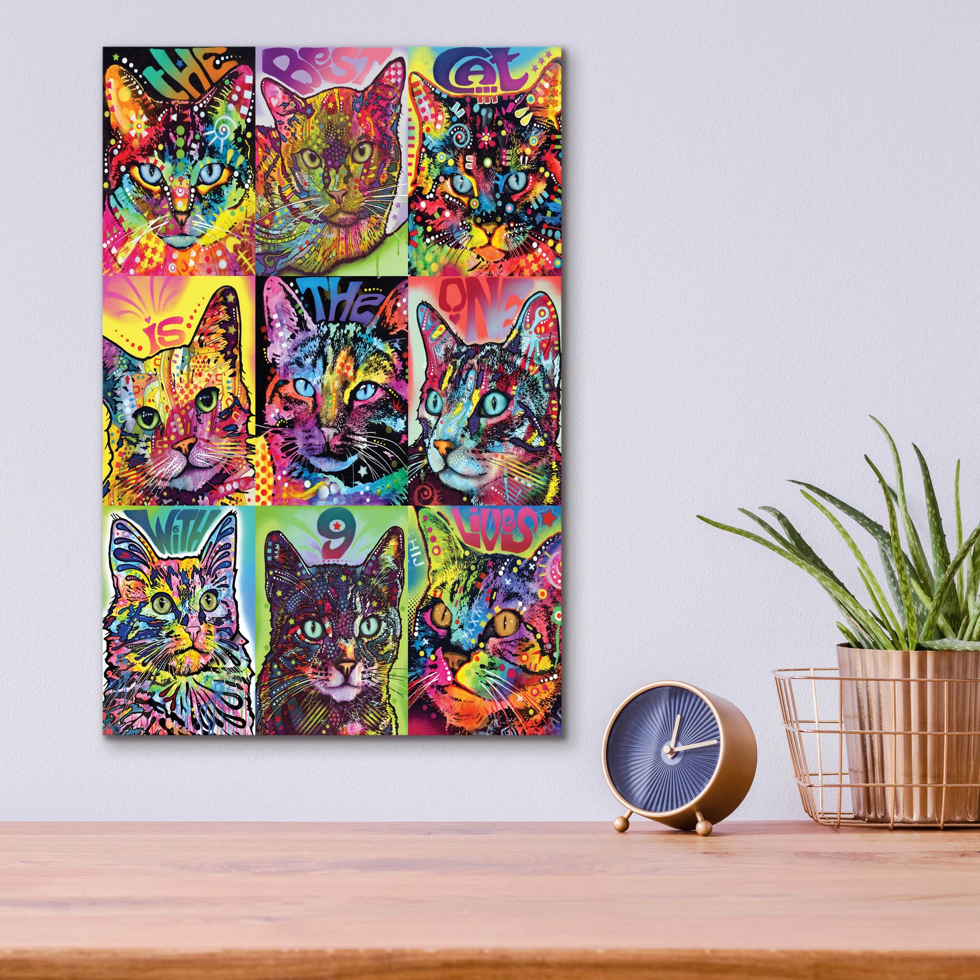 Epic Art 'Nine Up of Cats' by Dean Russo, Acrylic Glass Wall Art,12x16