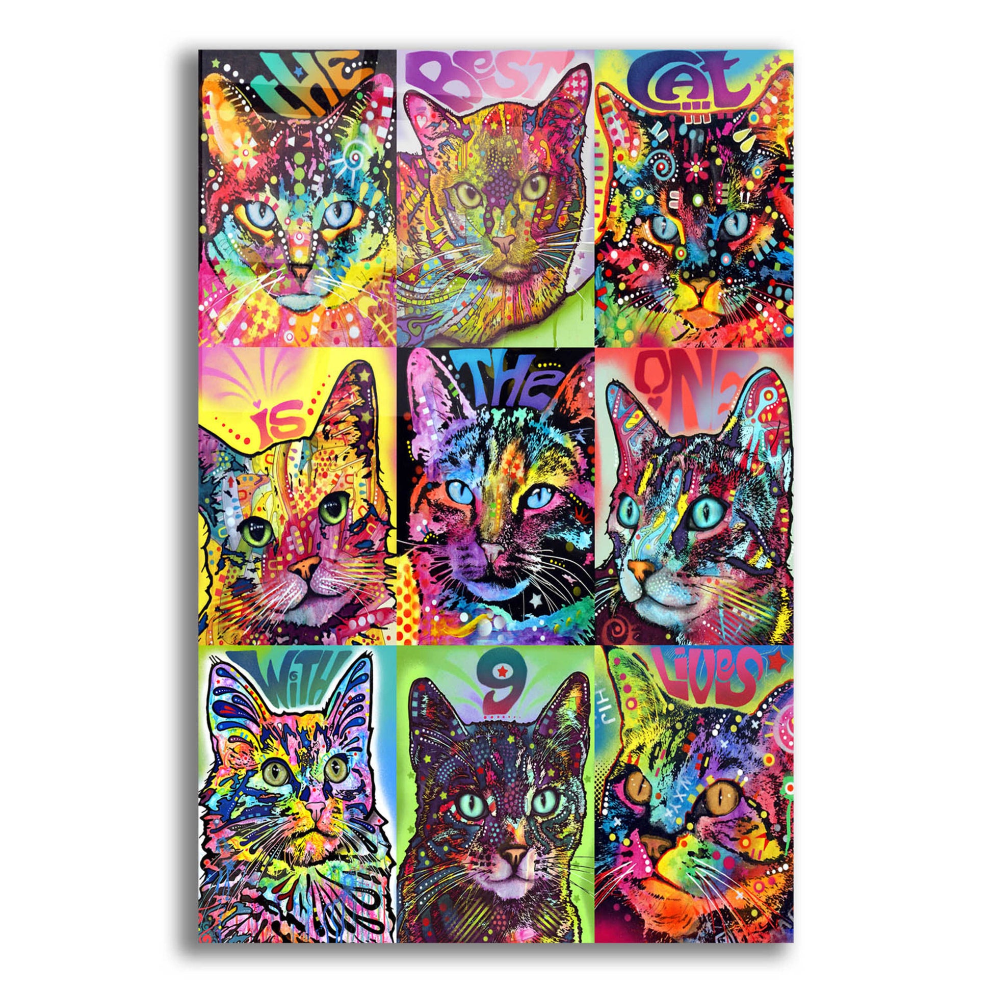 Epic Art 'Nine Up of Cats' by Dean Russo, Acrylic Glass Wall Art,12x16