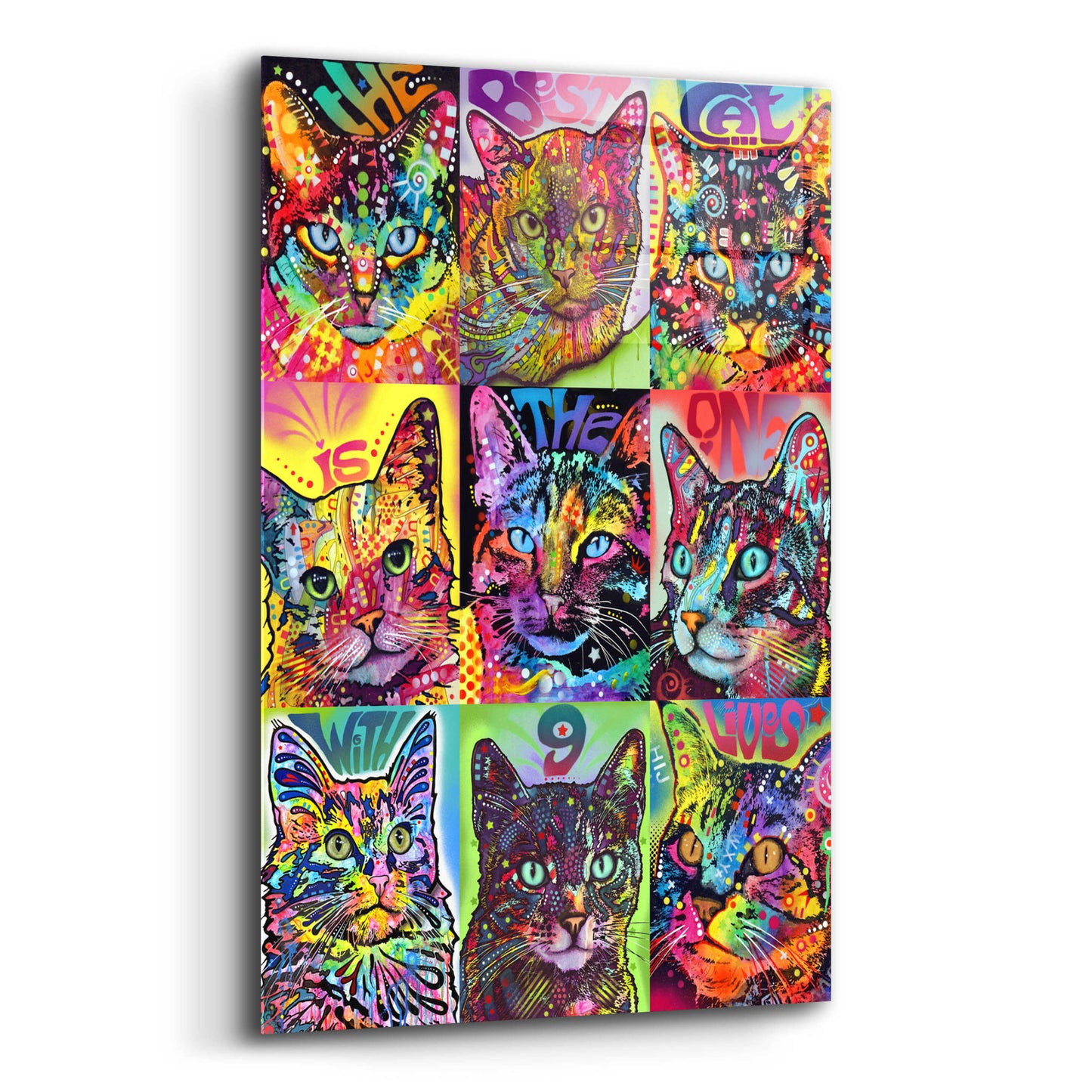 Epic Art 'Nine Up of Cats' by Dean Russo, Acrylic Glass Wall Art,16x24