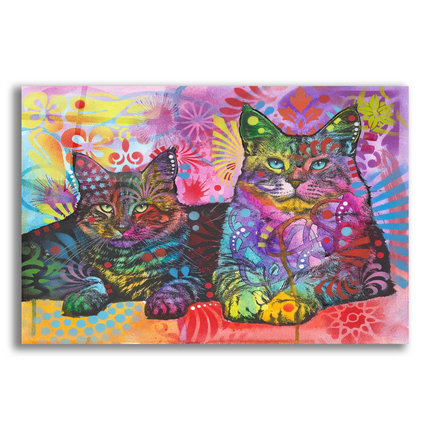 Epic Art '2 Cats' by Dean Russo, Acrylic Glass Wall Art,24x16