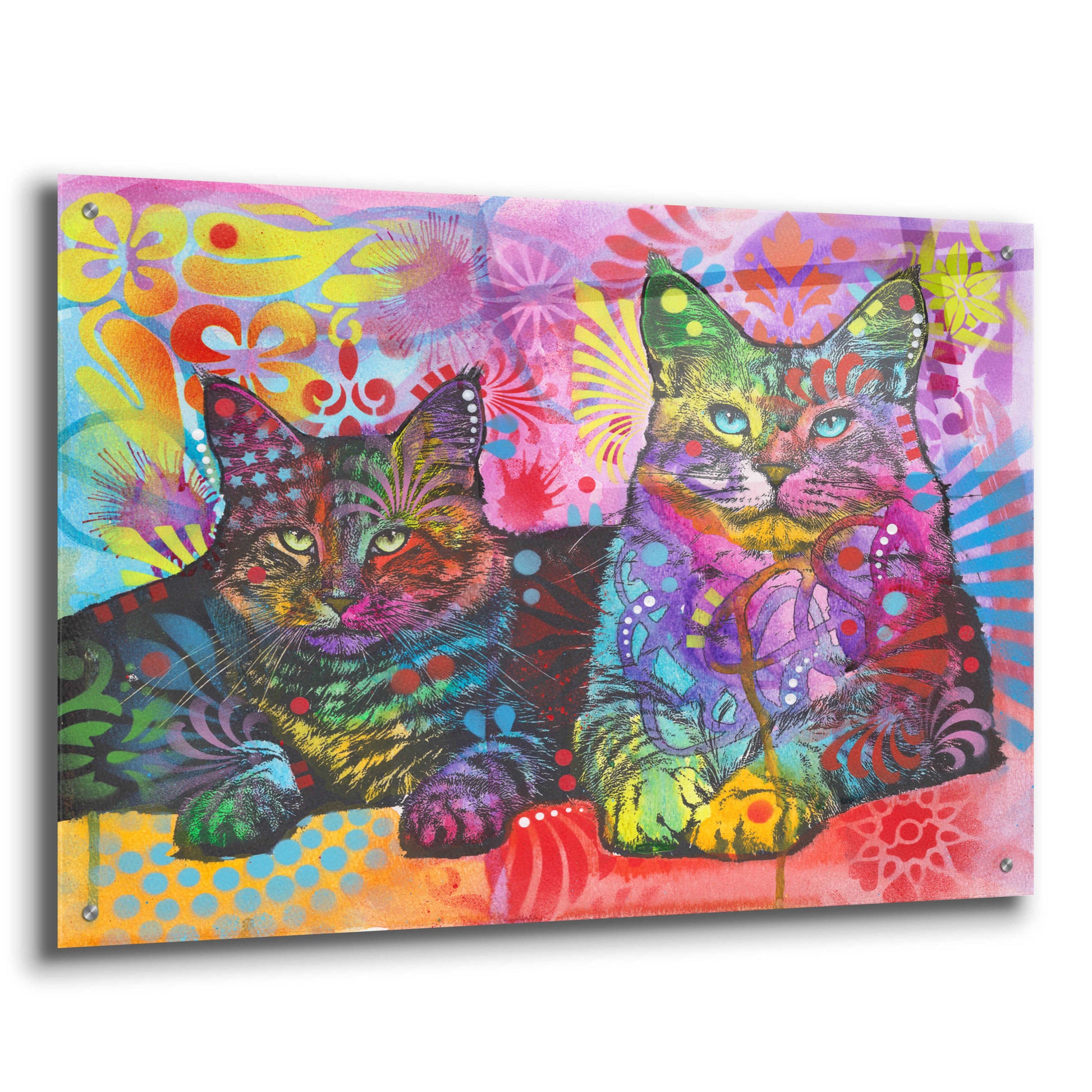 Epic Art '2 Cats' by Dean Russo, Acrylic Glass Wall Art,36x24