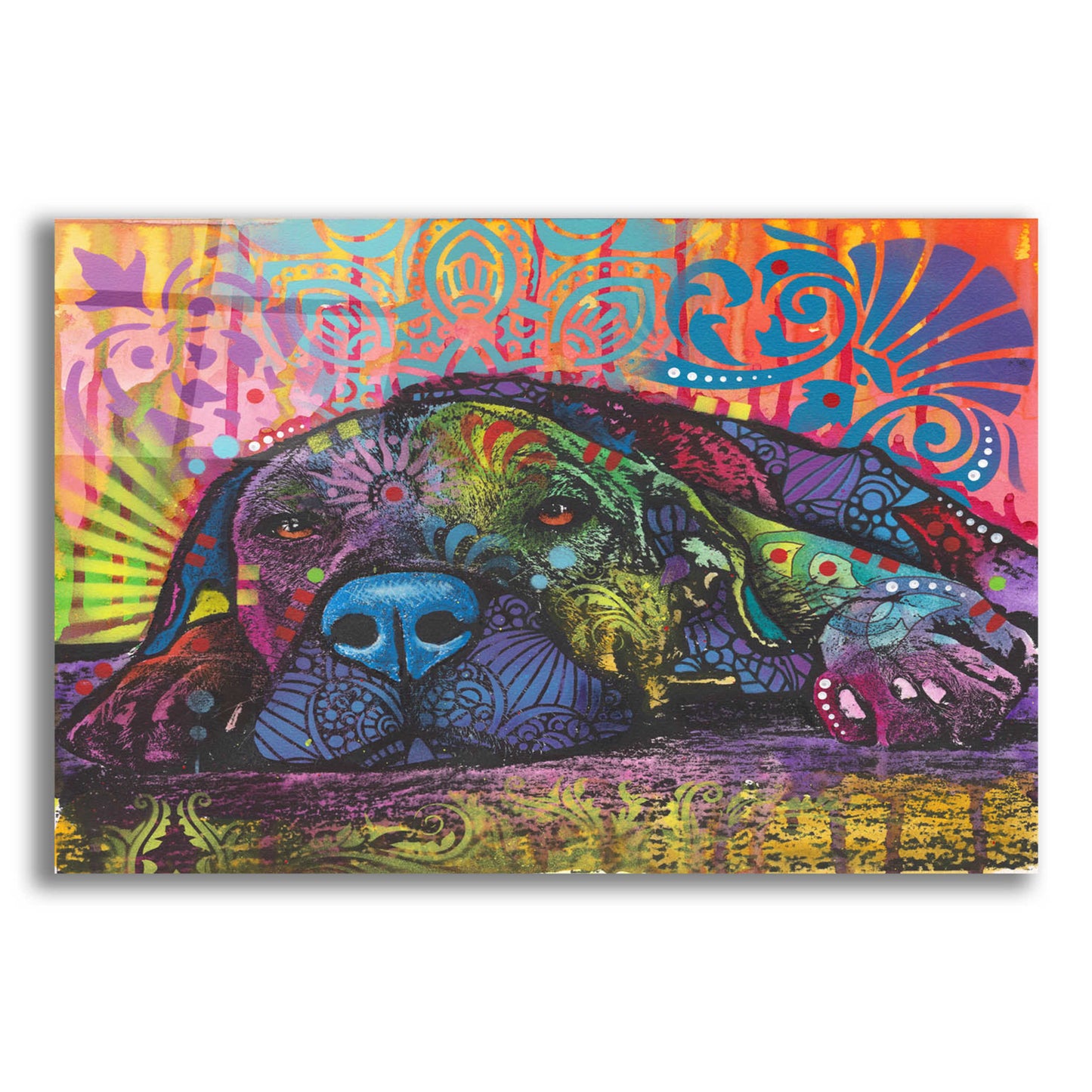 Epic Art 'Lay Down' by Dean Russo, Acrylic Glass Wall Art,16x12