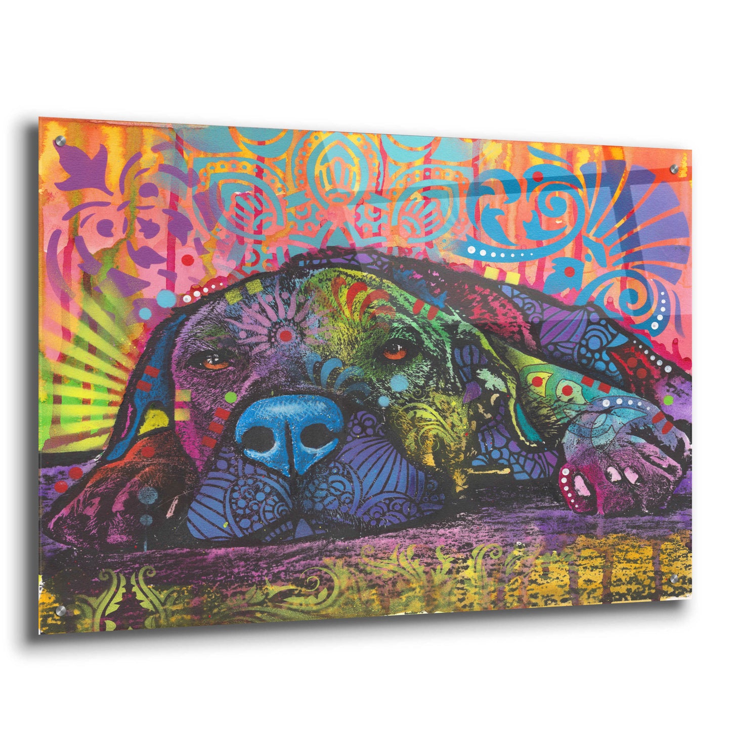 Epic Art 'Lay Down' by Dean Russo, Acrylic Glass Wall Art,36x24