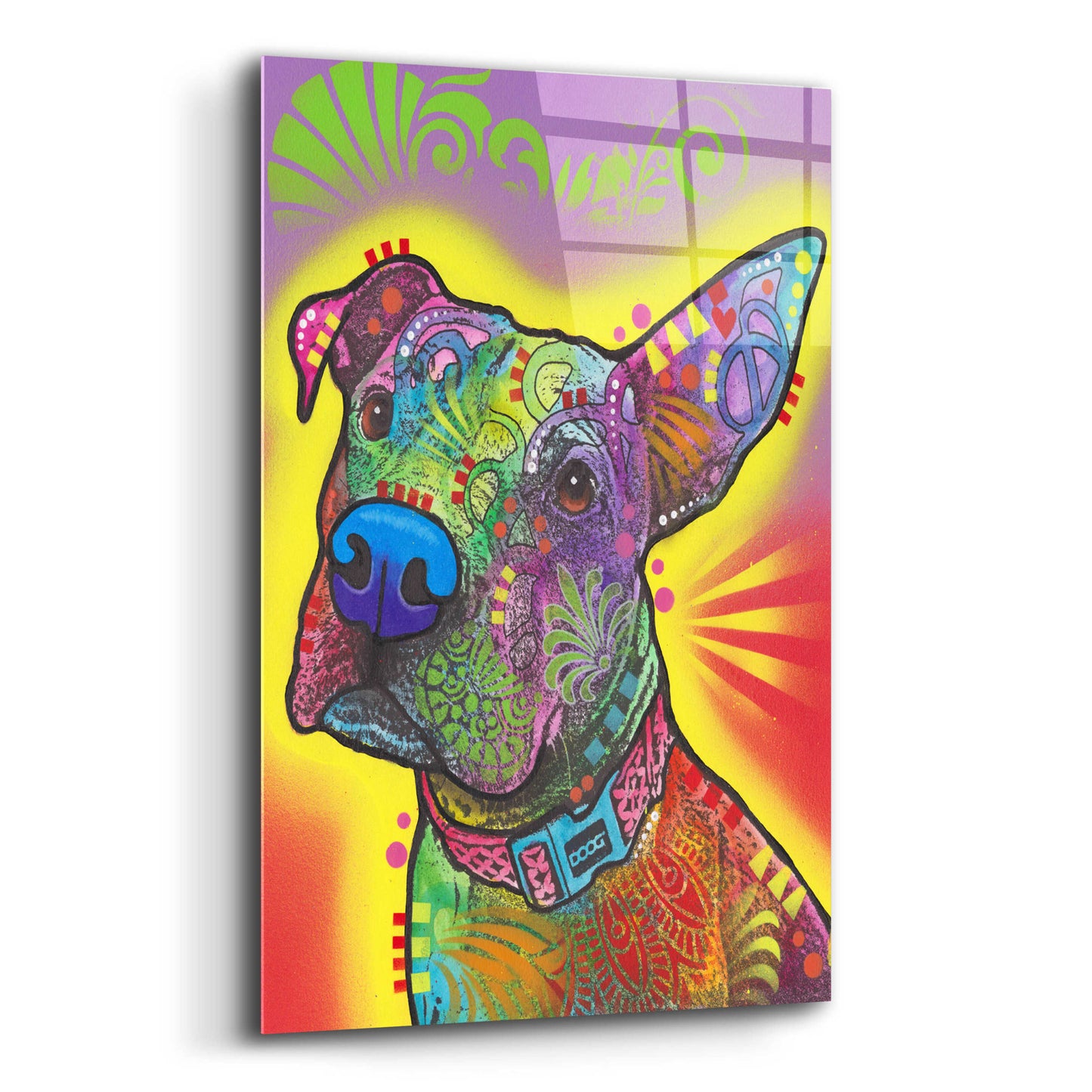 Epic Art 'Izzy' by Dean Russo, Acrylic Glass Wall Art,12x16