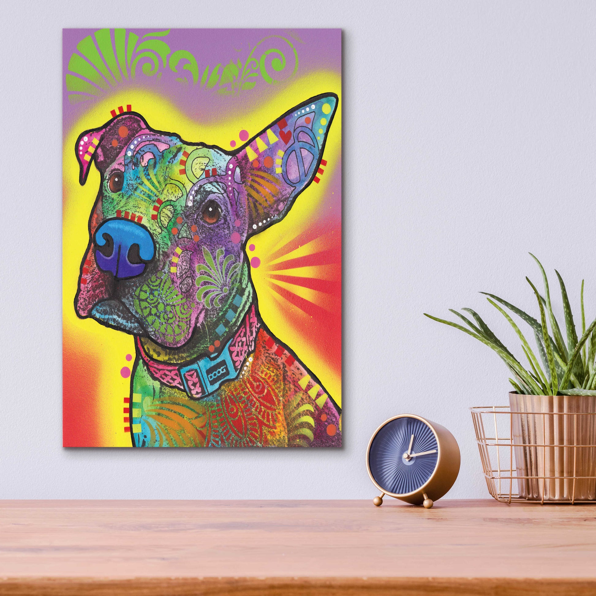 Epic Art 'Izzy' by Dean Russo, Acrylic Glass Wall Art,12x16