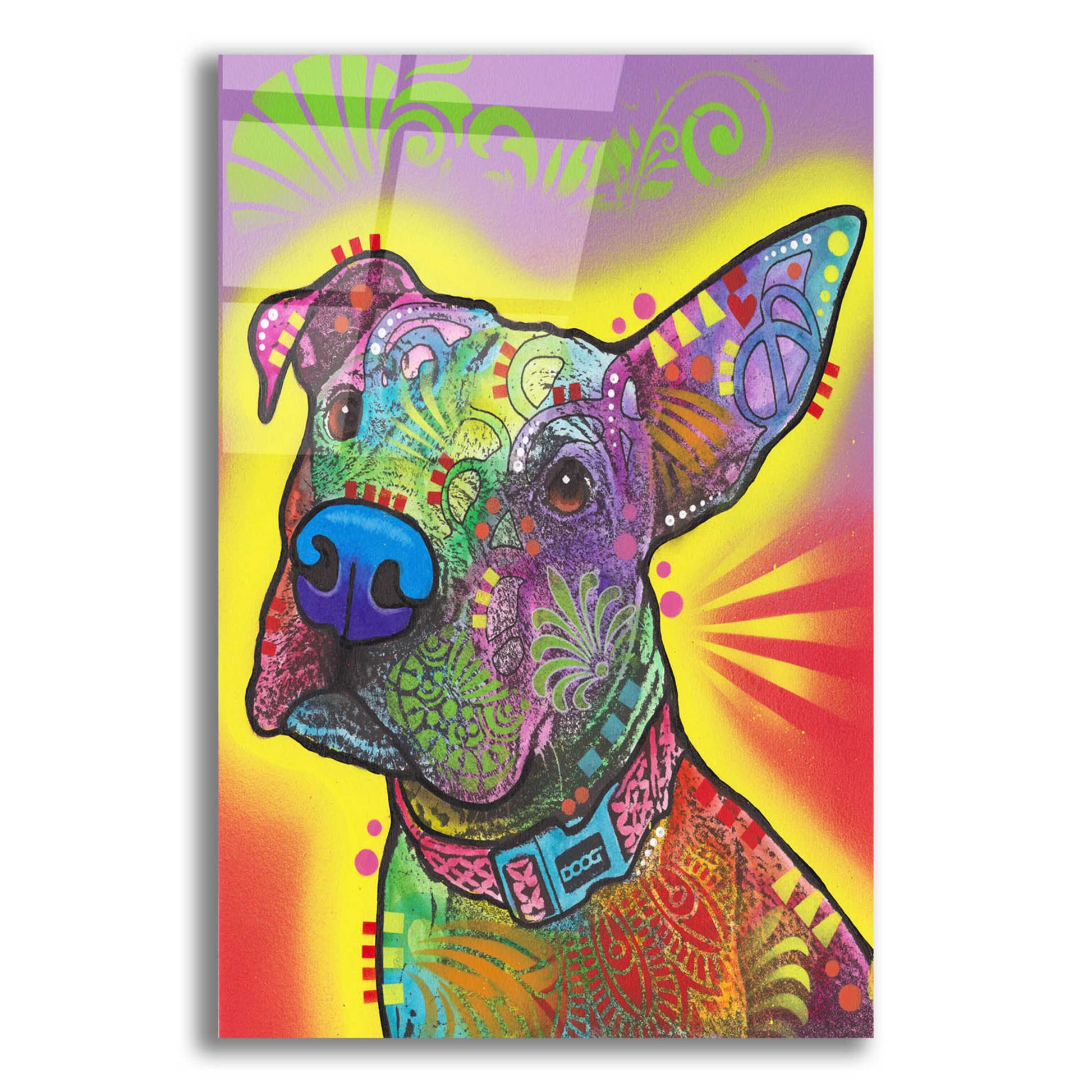 Epic Art 'Izzy' by Dean Russo, Acrylic Glass Wall Art,12x16