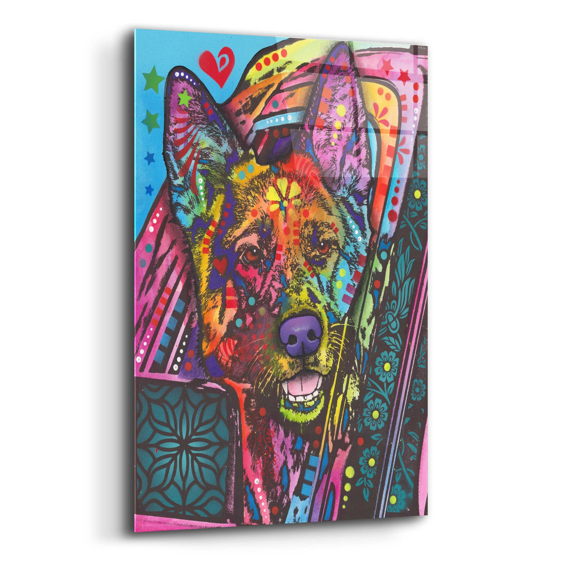 Epic Art 'Jax' by Dean Russo, Acrylic Glass Wall Art,12x16