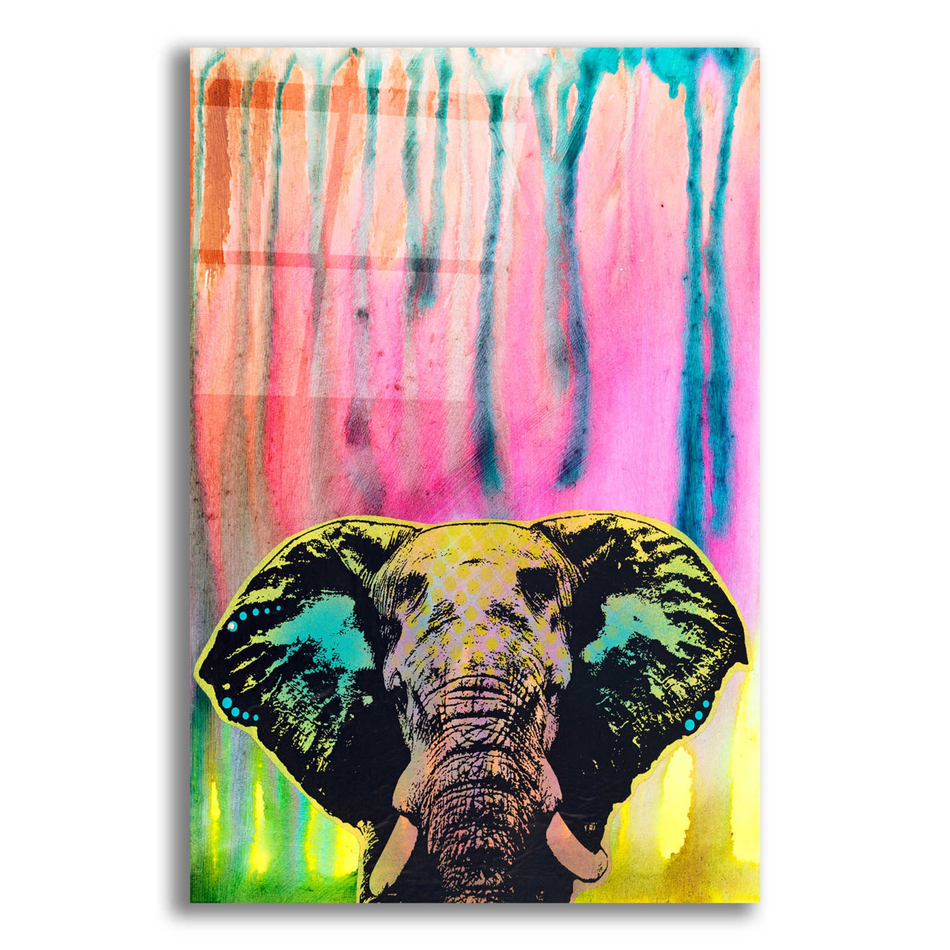 Epic Art 'Elephant 3' by Dean Russo, Acrylic Glass Wall Art,12x16