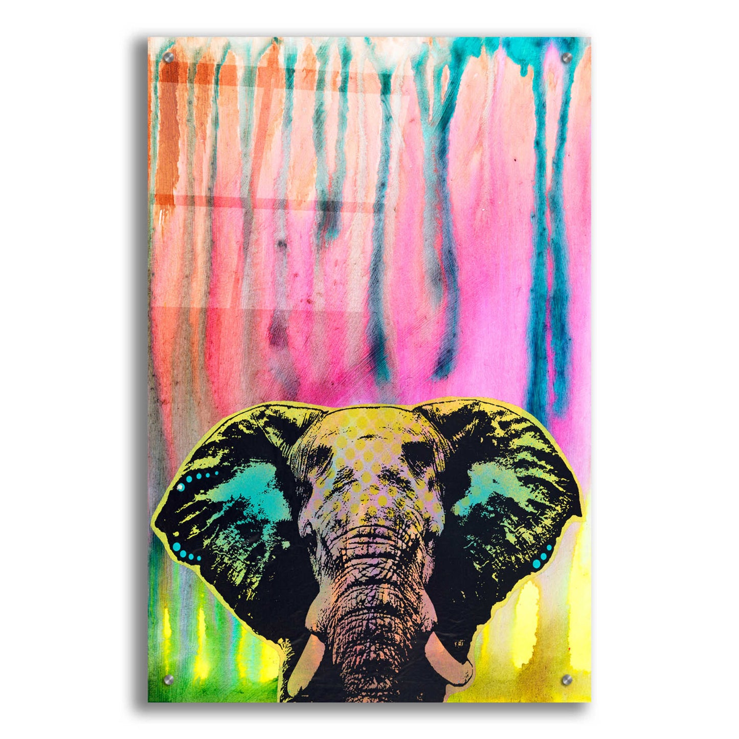 Epic Art 'Elephant 3' by Dean Russo, Acrylic Glass Wall Art,24x36
