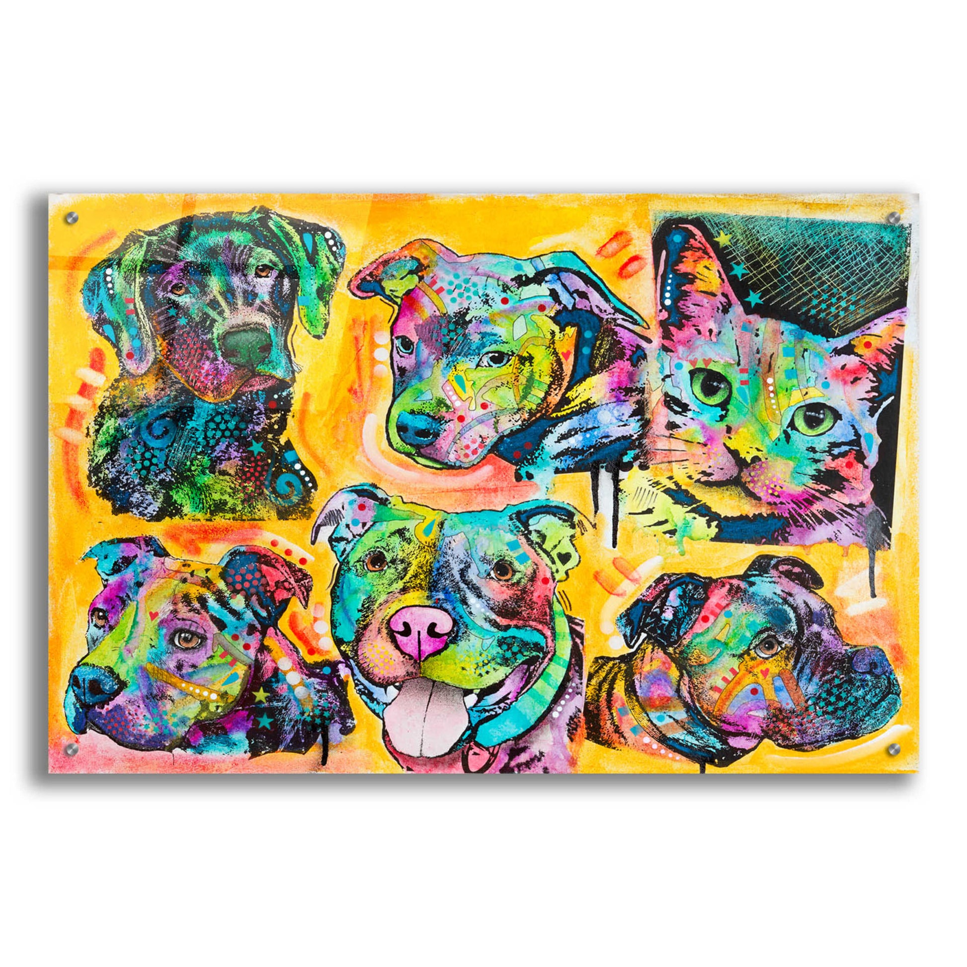Epic Art '5 Dogs and a Cat' by Dean Russo, Acrylic Glass Wall Art,36x24