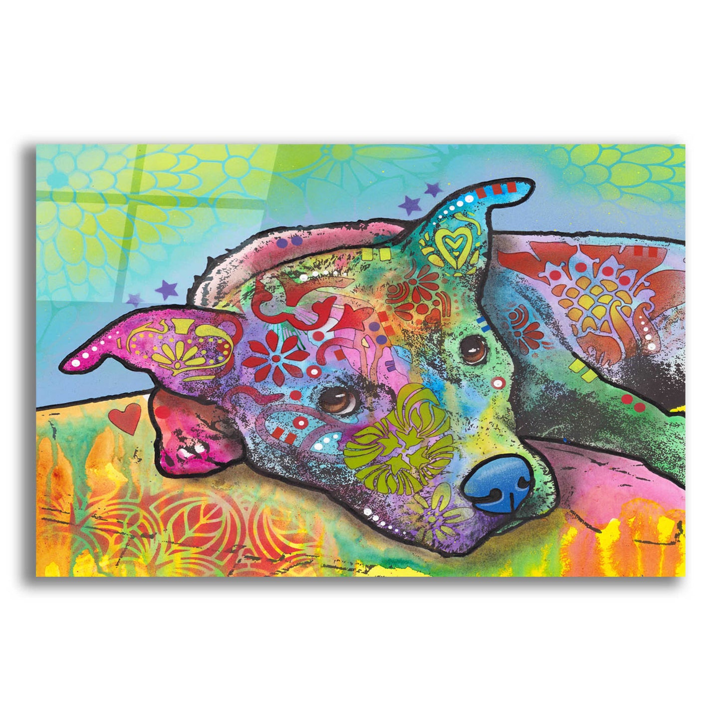 Epic Art 'Riley' by Dean Russo, Acrylic Glass Wall Art,16x12