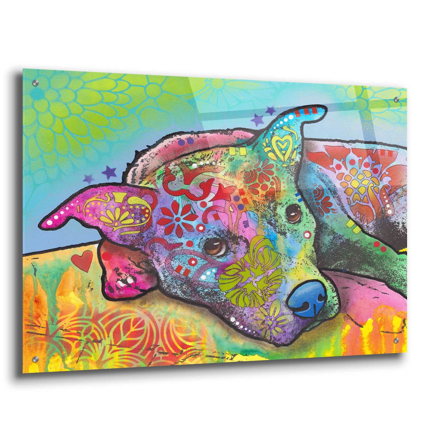 Epic Art 'Riley' by Dean Russo, Acrylic Glass Wall Art,36x24