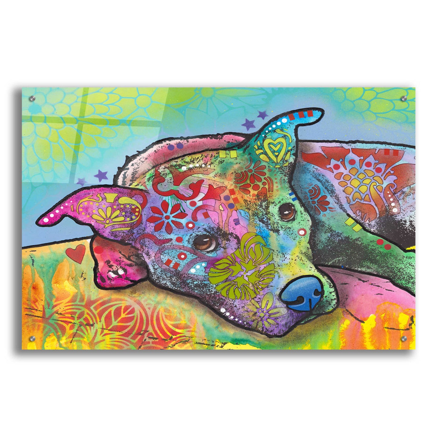 Epic Art 'Riley' by Dean Russo, Acrylic Glass Wall Art,36x24