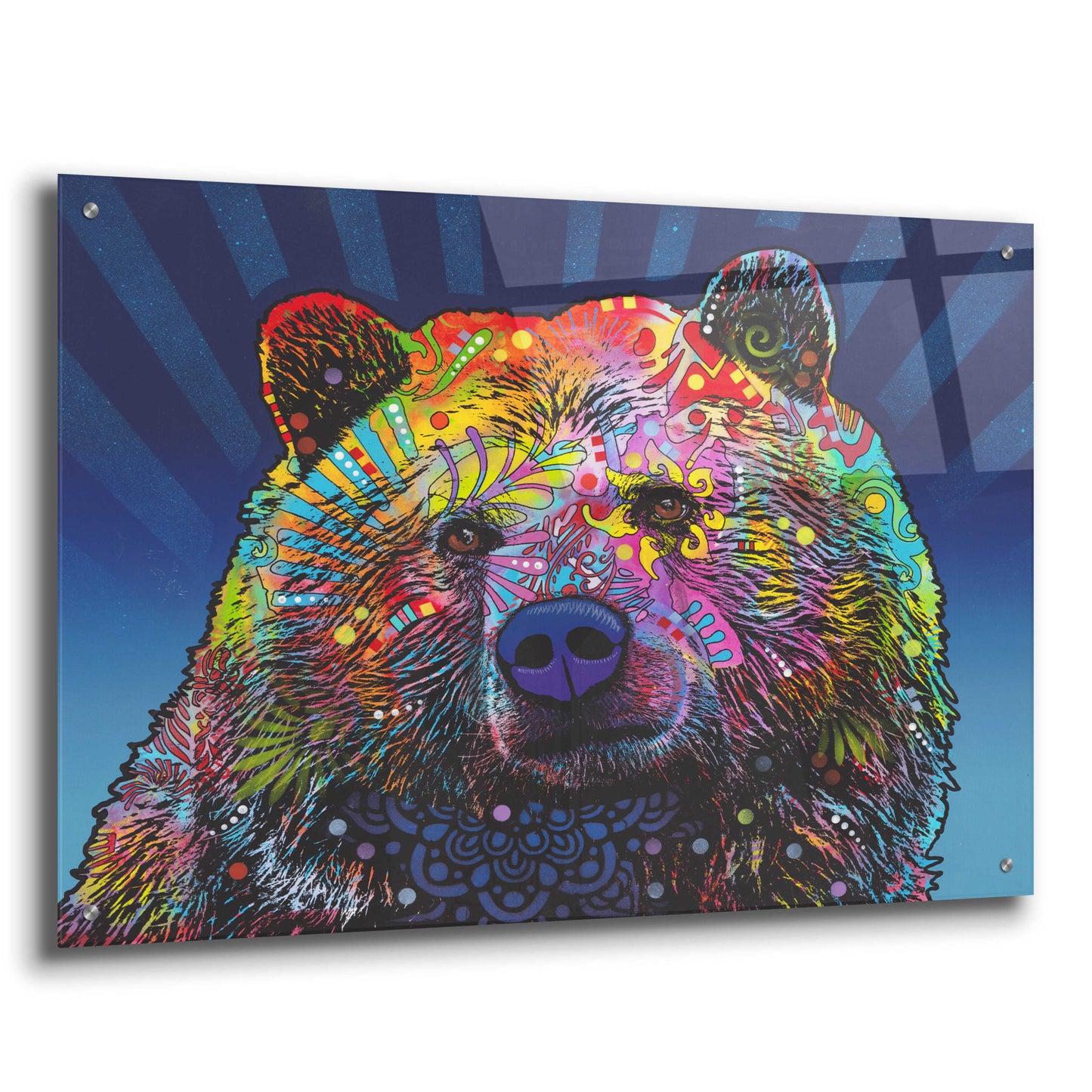 Epic Art 'Grizz' by Dean Russo, Acrylic Glass Wall Art,36x24