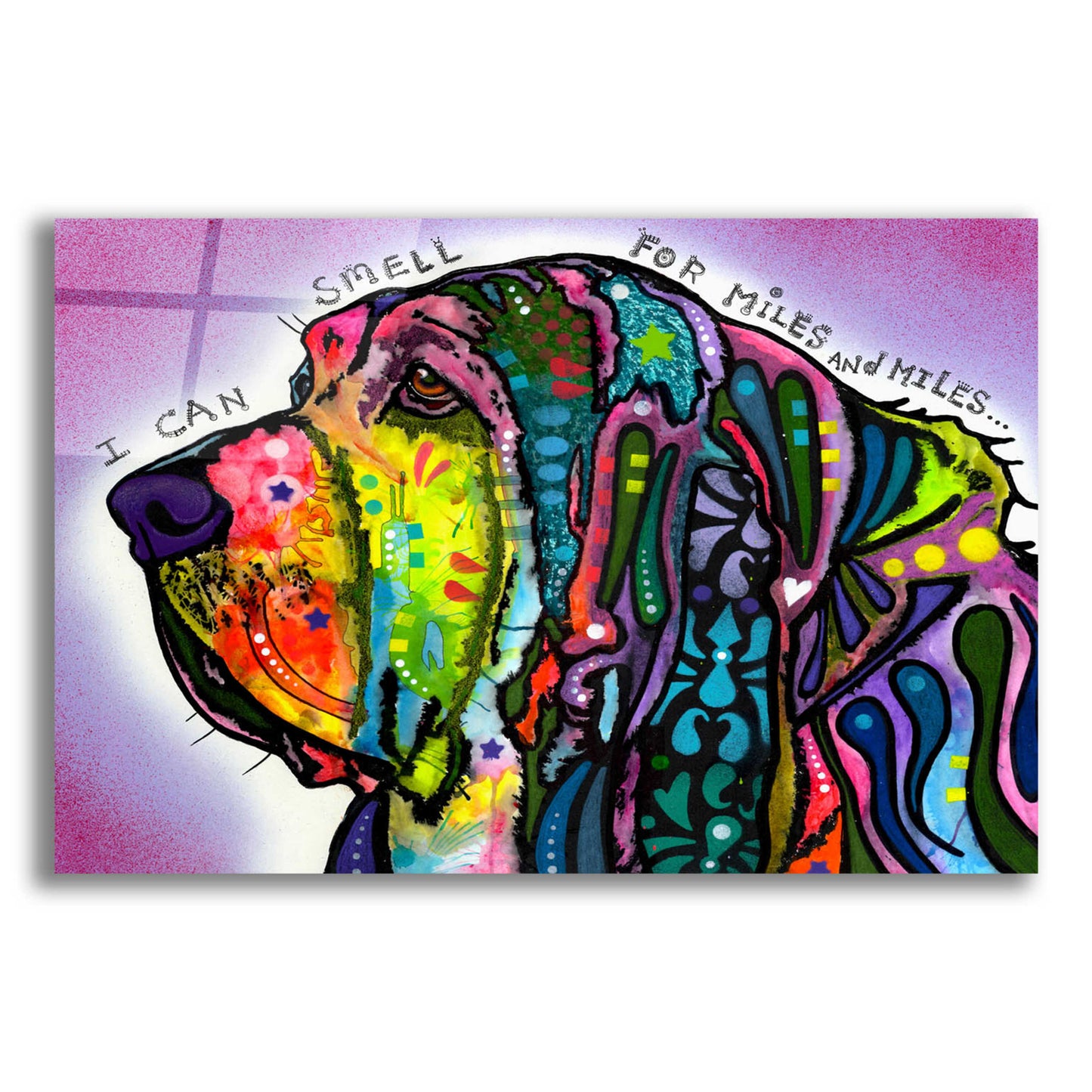 Epic Art 'I Can Smell (Bloodhound)' by Dean Russo, Acrylic Glass Wall Art,16x12