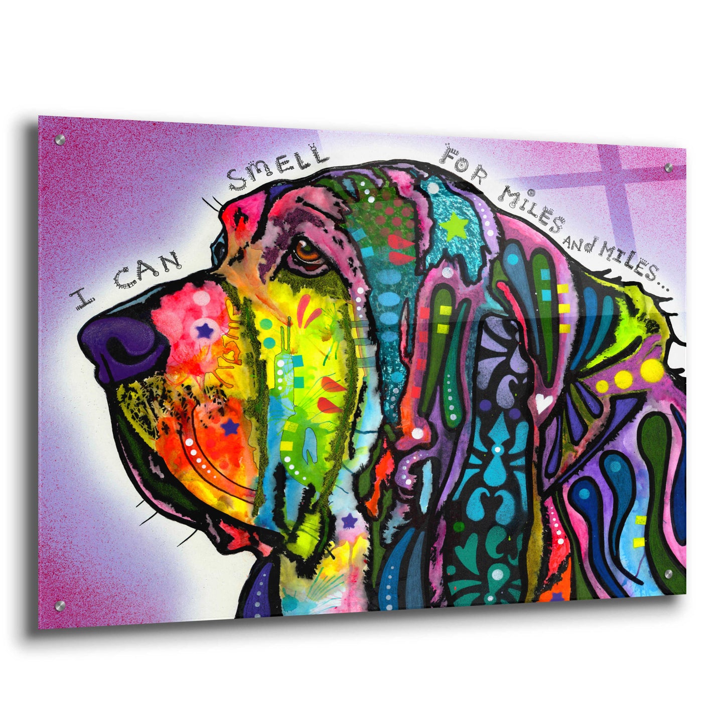 Epic Art 'I Can Smell (Bloodhound)' by Dean Russo, Acrylic Glass Wall Art,36x24