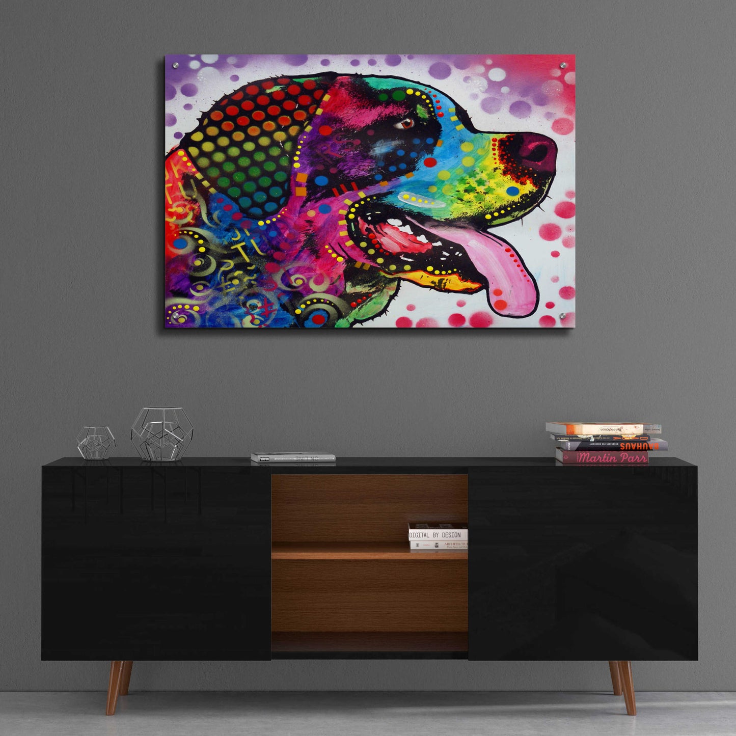 Epic Art 'St Bernard Profile' by Dean Russo, Acrylic Glass Wall Art,36x24