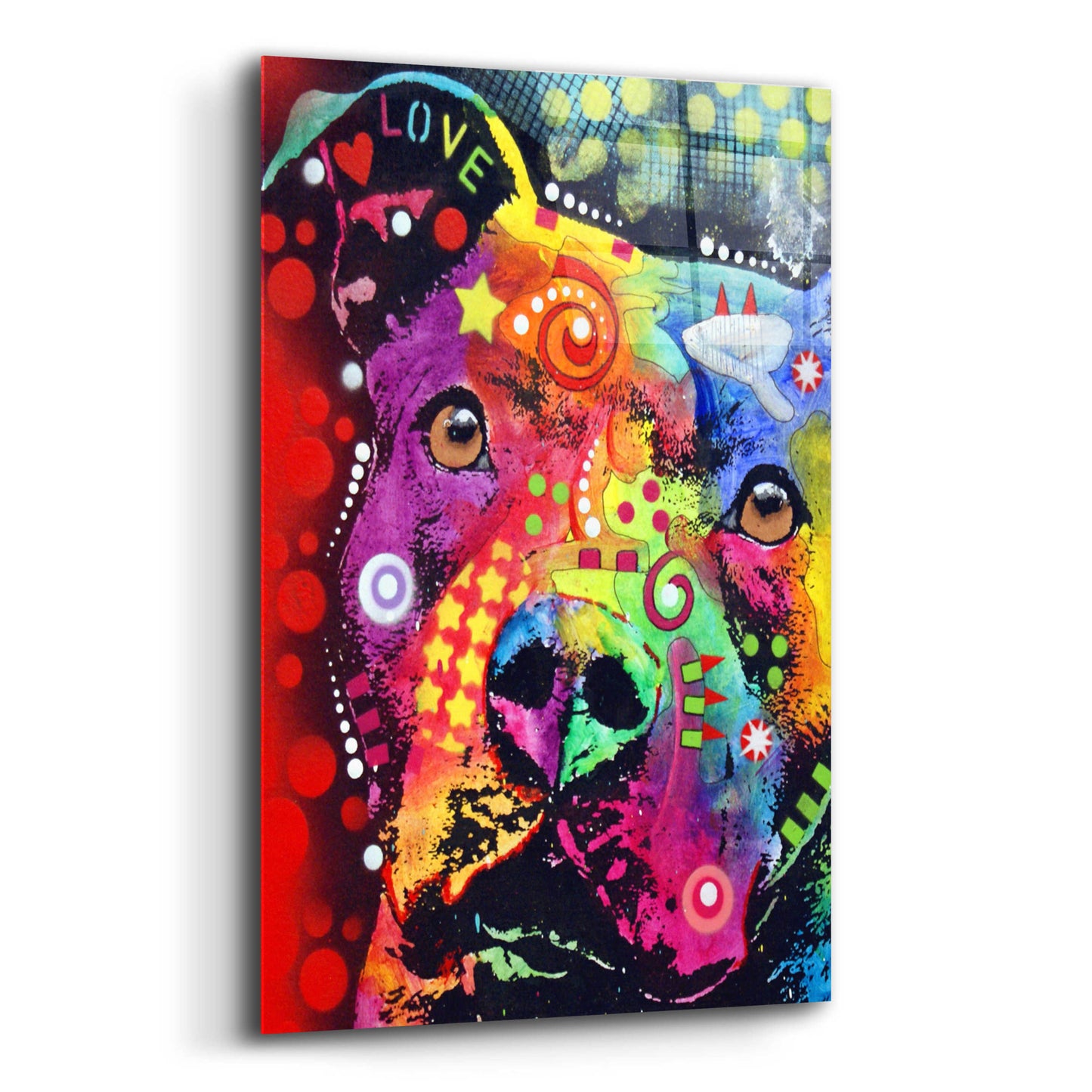 Epic Art 'Thoughtful Pit Classic' by Dean Russo, Acrylic Glass Wall Art,12x16