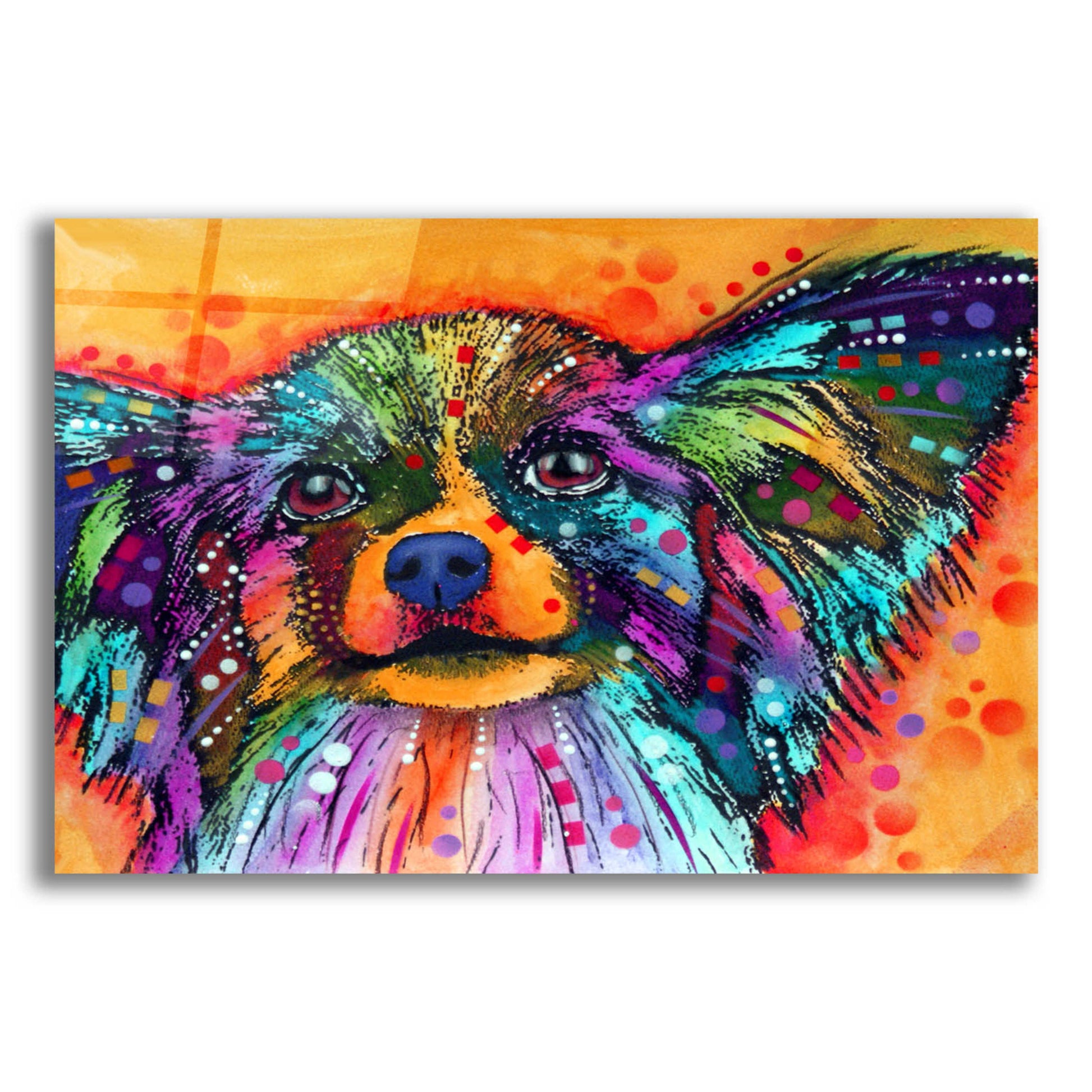 Epic Art 'Papillion' by Dean Russo, Acrylic Glass Wall Art,16x12