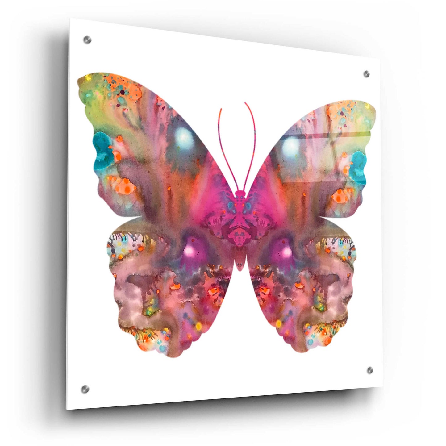 Epic Art 'Abstract I Butterfly' by Dean Russo, Acrylic Glass Wall Art,24x24