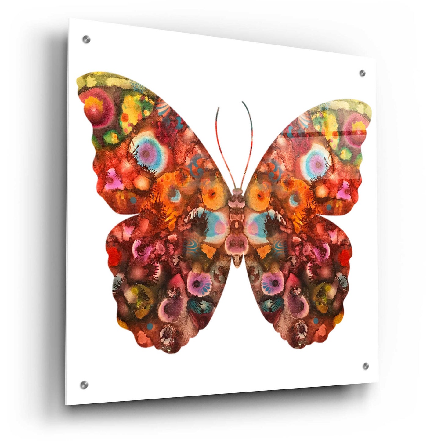 Epic Art 'Kamasi Butterfly' by Dean Russo, Acrylic Glass Wall Art,24x24