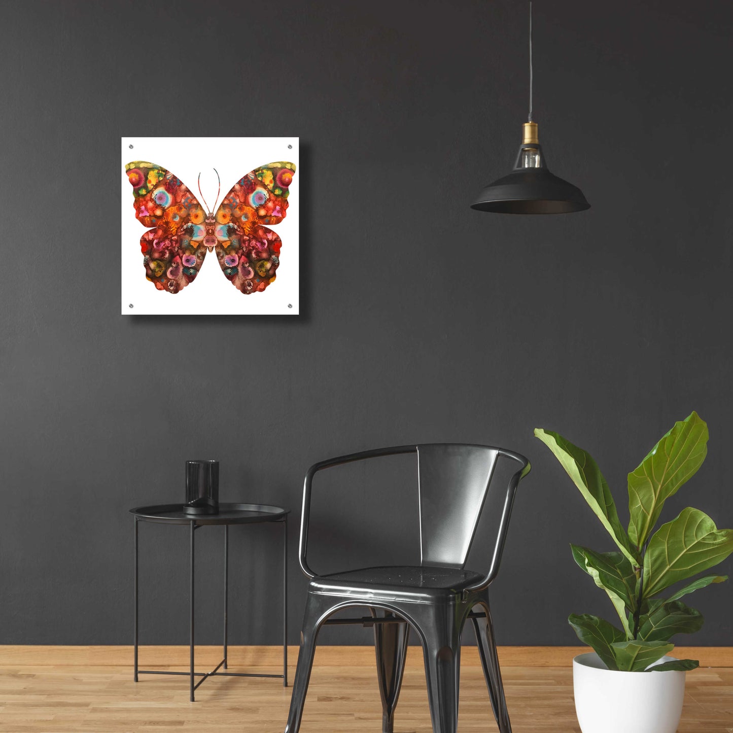 Epic Art 'Kamasi Butterfly' by Dean Russo, Acrylic Glass Wall Art,24x24