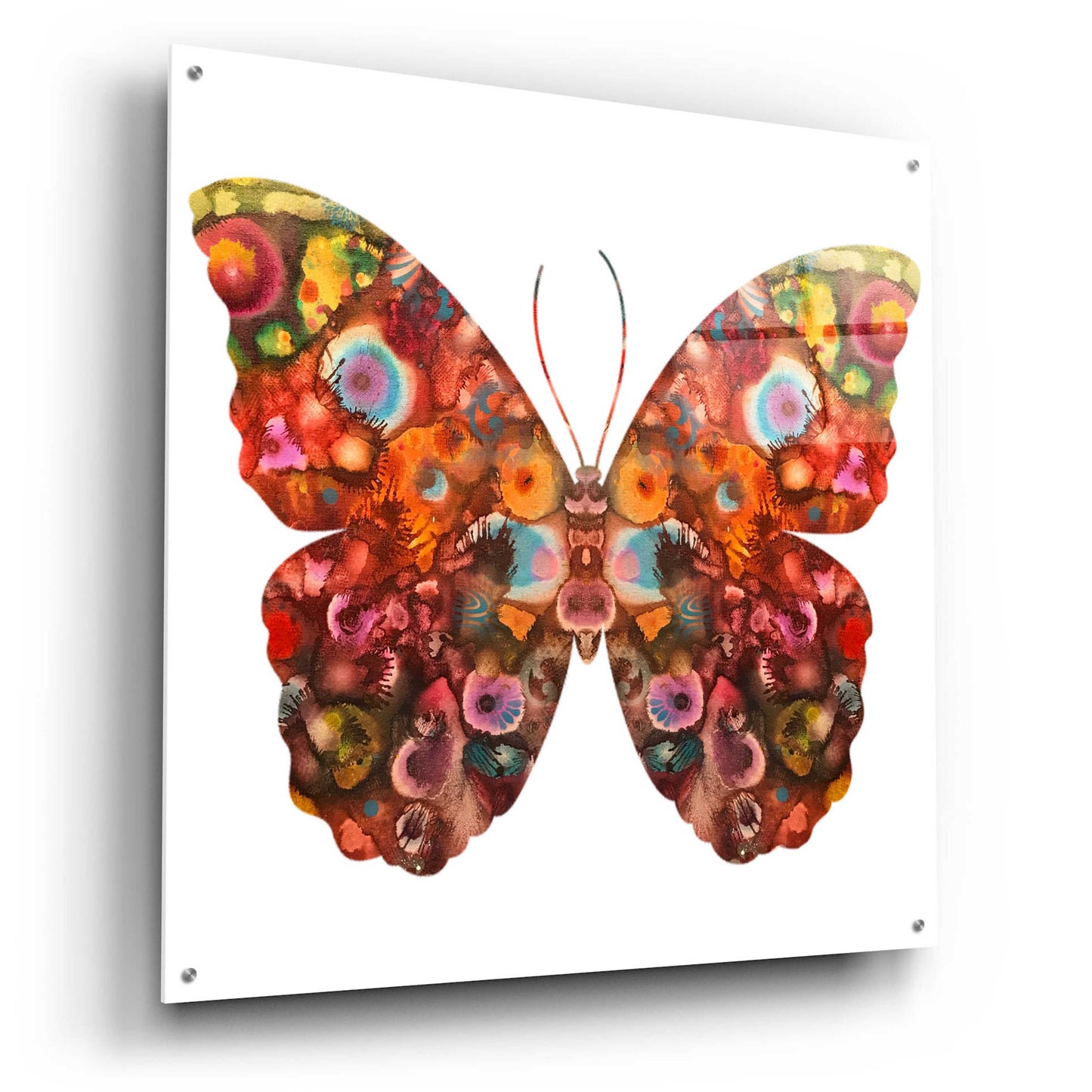 Epic Art 'Kamasi Butterfly' by Dean Russo, Acrylic Glass Wall Art,36x36