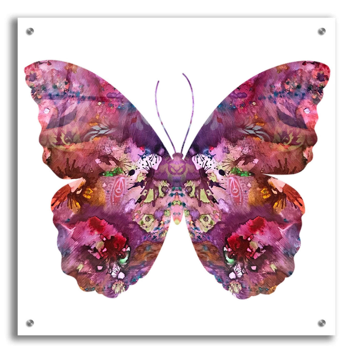 Epic Art 'Cinematic Butterfly' by Dean Russo, Acrylic Glass Wall Art,24x24