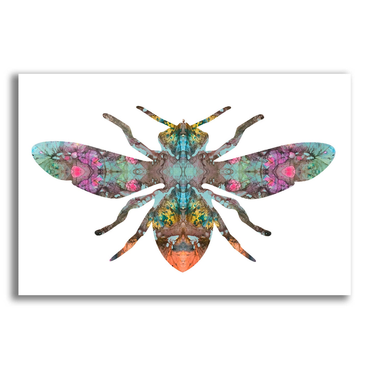 Epic Art 'Transverse Bee' by Dean Russo, Acrylic Glass Wall Art,16x12